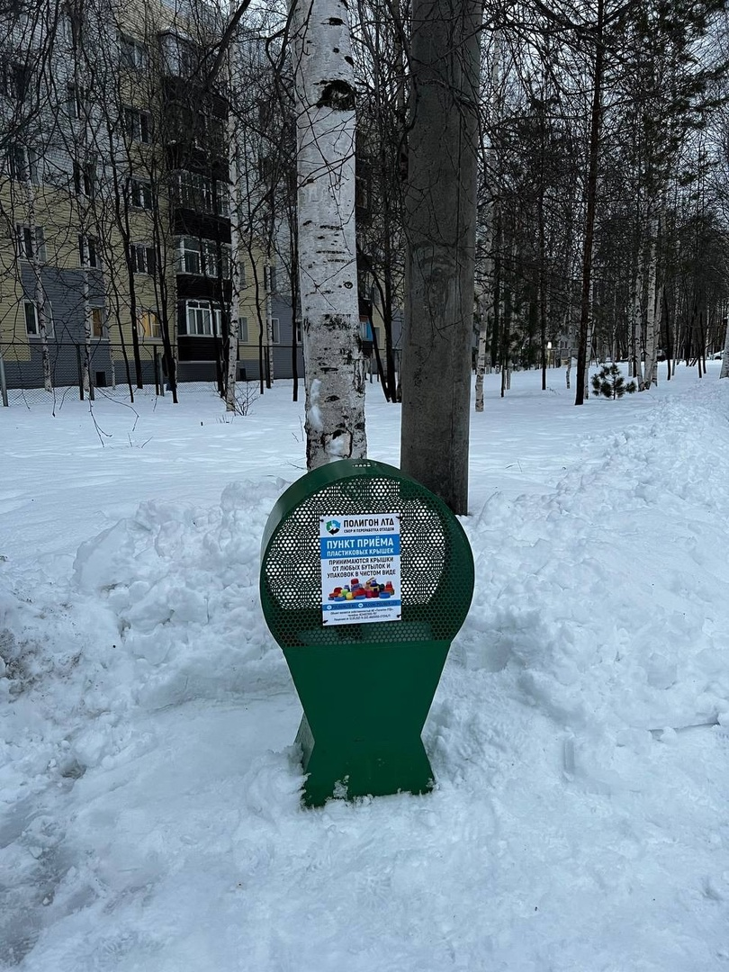 Новое «Чудо-дерево» появилось в Сургуте.