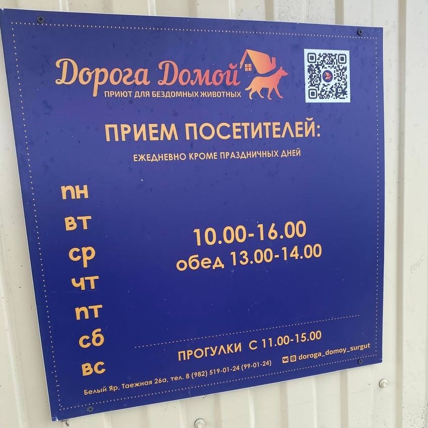 ПОМОЩЬ ПОСЕТИТЕЛЕЙ ПУНКТОВ ПРИЕМА «ПТИЧКА» ДОСТАВЛЕНА В ПРИЮТ «ДОРОГА ДОМОЙ»