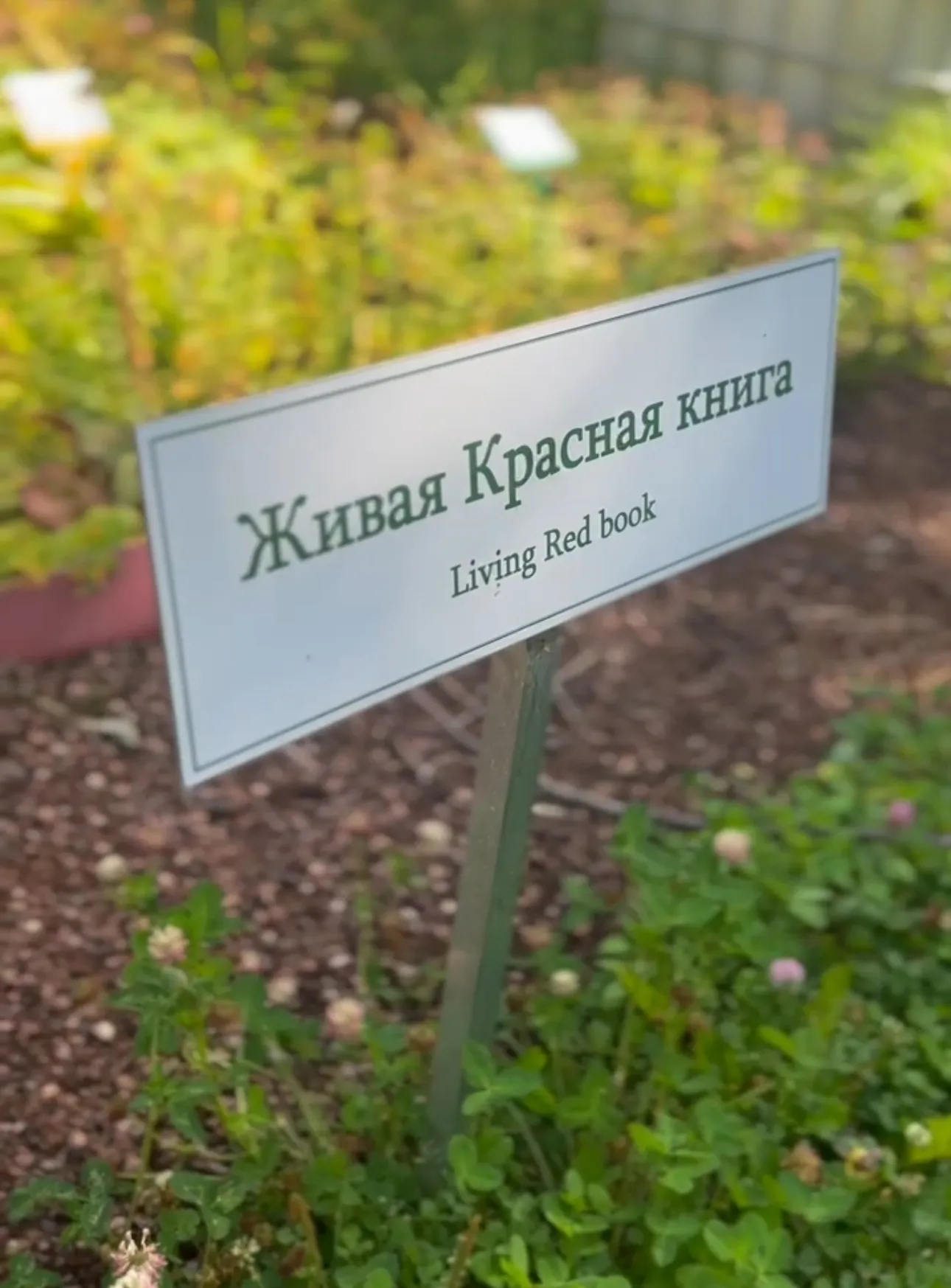 Вторая жизнь для каждой ветки