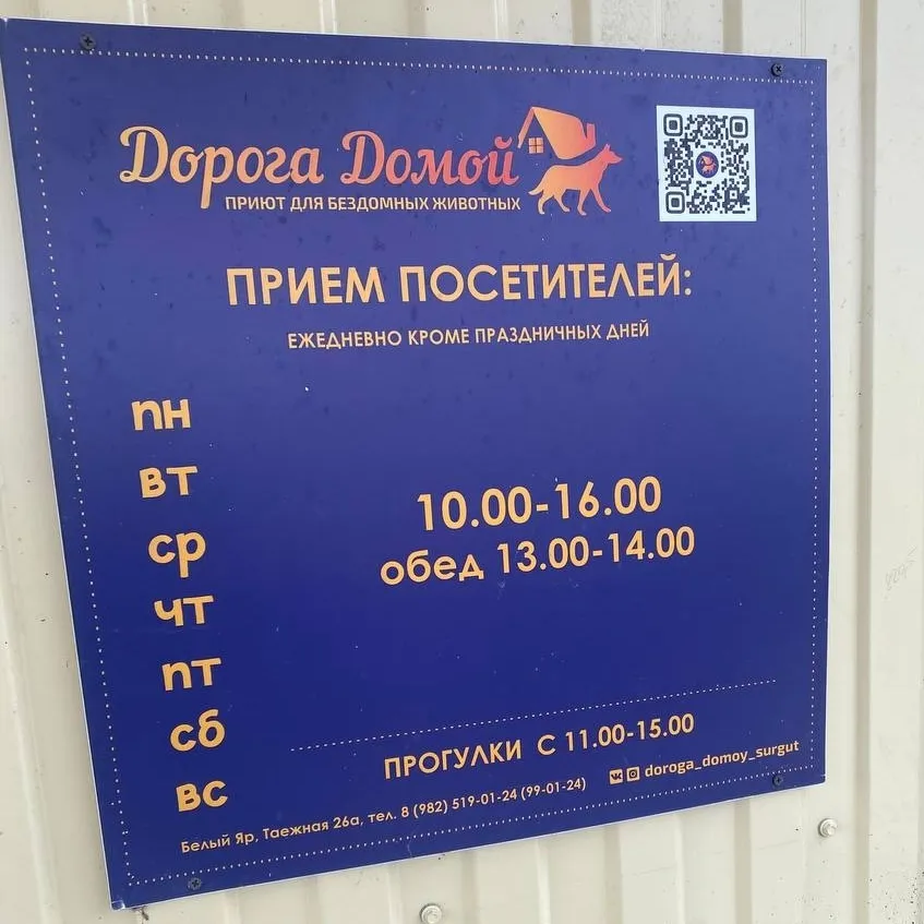 ПОМОЩЬ ПОСЕТИТЕЛЕЙ ПУНКТОВ ПРИЕМА «ПТИЧКА» ДОСТАВЛЕНА В ПРИЮТ «ДОРОГА ДОМОЙ»